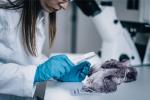 Forensic science: The science of crime
